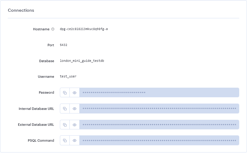 
          Environment variables in the Connections tab
        